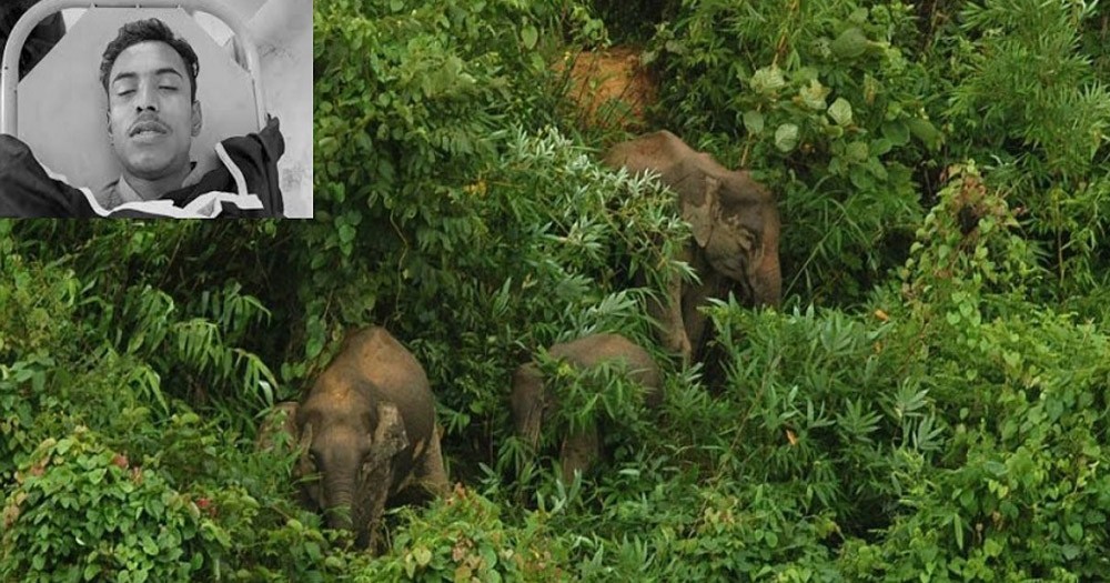 শেরপুরে বন্যহাতির আক্রমনে যুবক নিহত