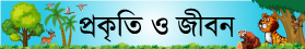 সোশ্যাল মিডিয়া